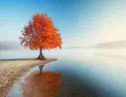 大‍数​据‍分‌析‌器​